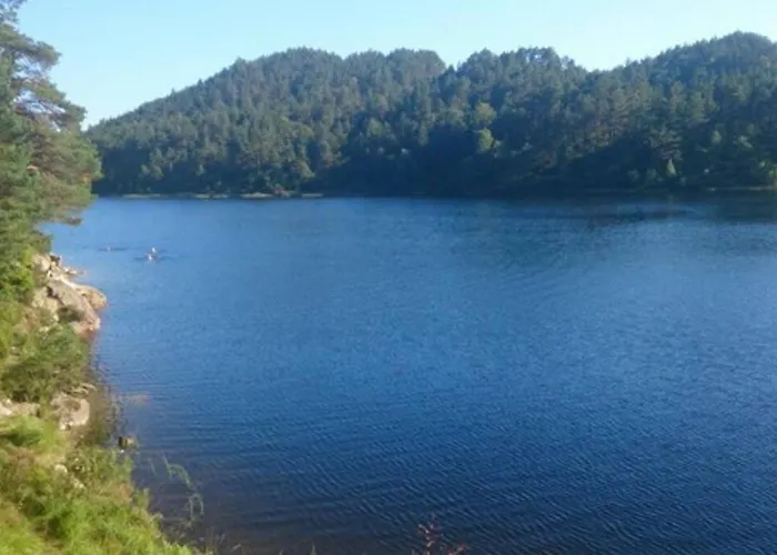 Apartment Modern 7 Min To Center